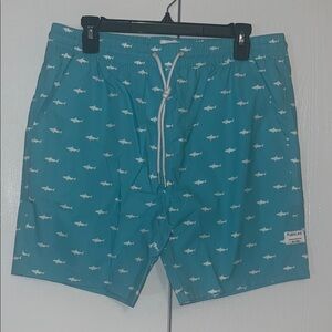 Public Art Shark Swim Trunks